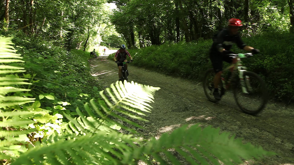 9183391492_08eb70027a_b