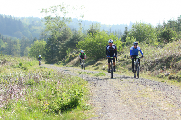 Chatting the day away in the forest