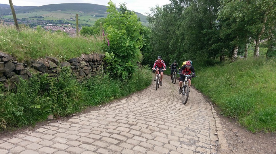 13466346_10208175861267673_932325412772624705_n