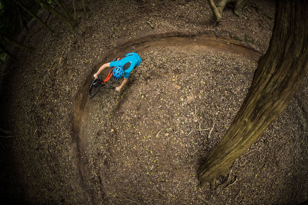 Anyone seen a tree for me to ride into?