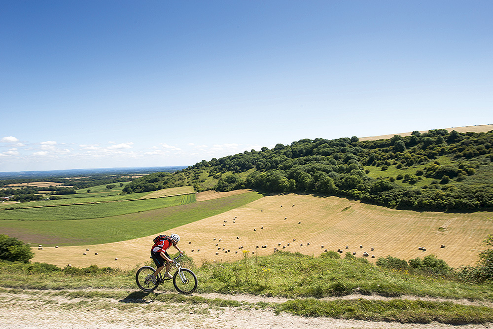 This image is copyright (c) Seb Rogers 2014 Seb Rogers +44 (0)1761 463 534 seb@sebrogers.co.uk www.sebrogers.co.uk