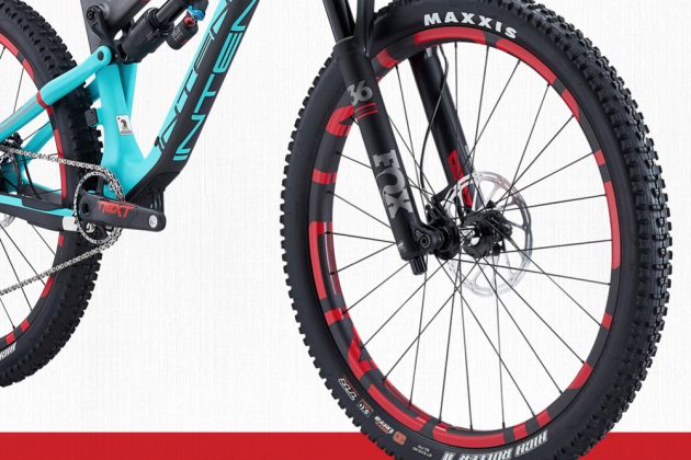 intense recluse carbon