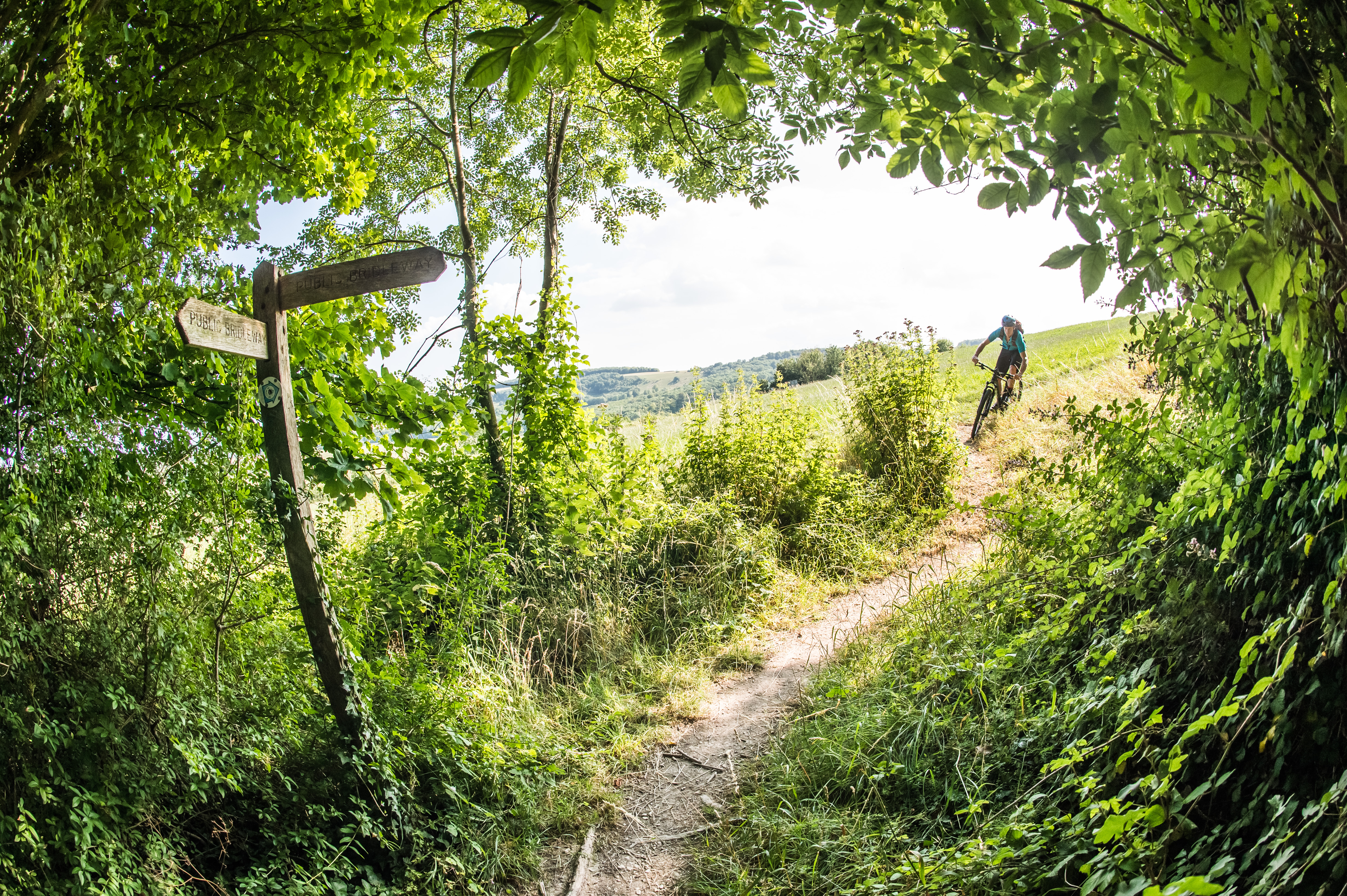 beginner mtb trails