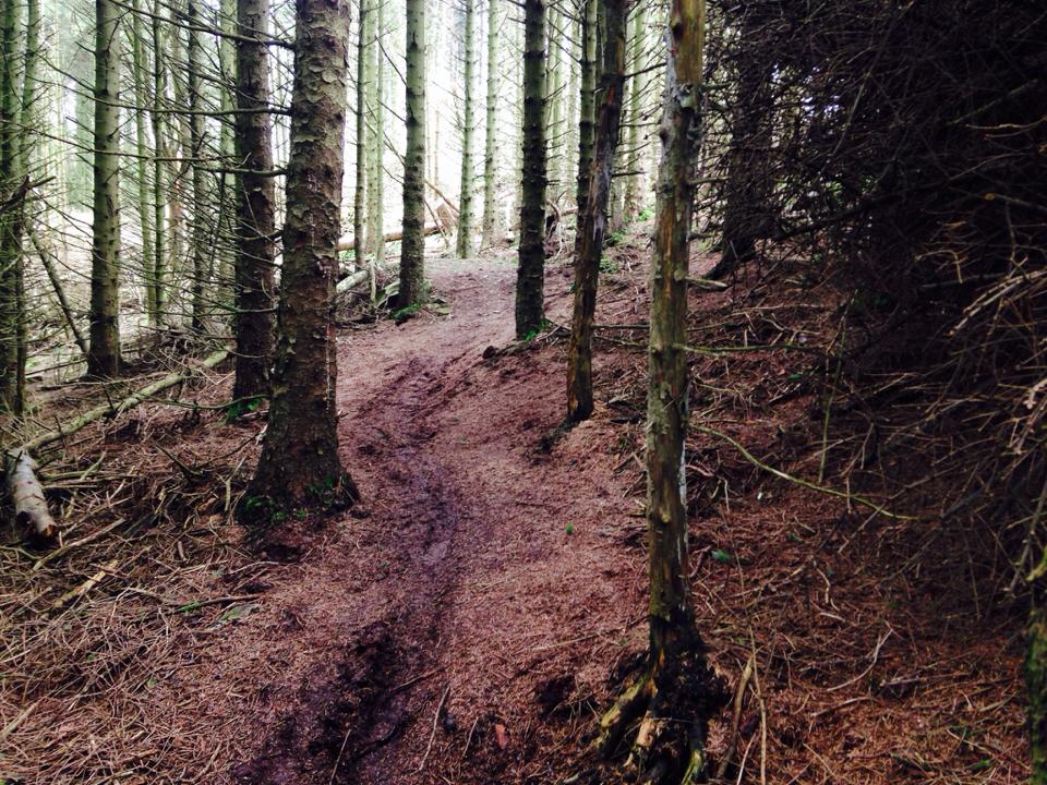 14666091_191834217925036_6297915704828565787_n