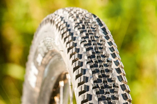 WTB Riddler TCS tyre review - MBR