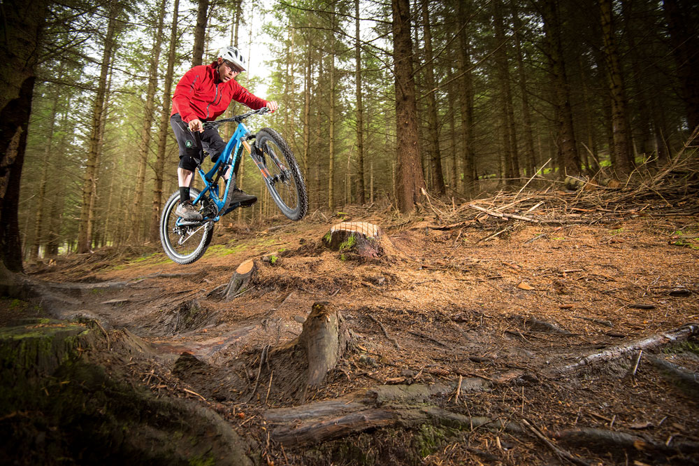 Every time you are on the ground you should have weight going through your tyres. If you push away from the trail you should be able to create enough lift to avoid the roots.