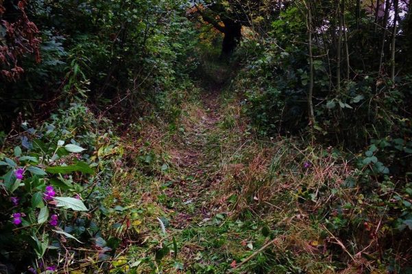 12135230_821590507939237_1293013893_n