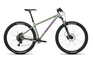 santa cruz chameleon