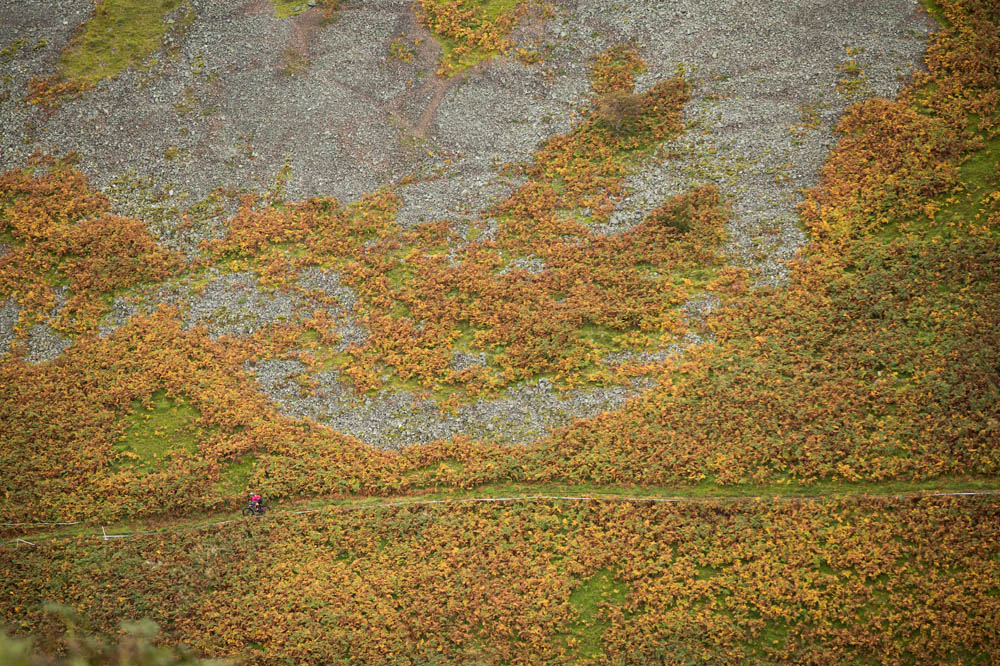 naughty northumbrian