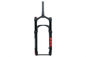 manitou mastodon