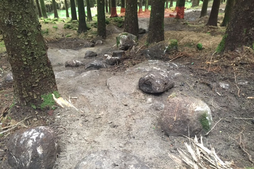 glencullen adventure park