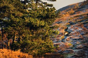 yorkshire mountain bike routes