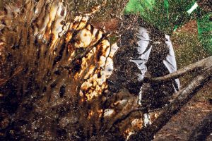 mountain bike confessions