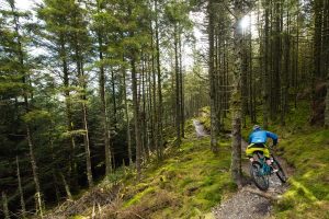 whinlatter