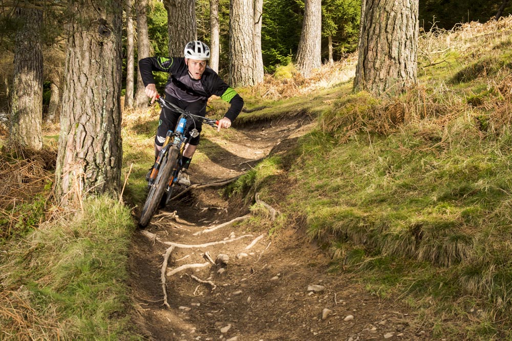 best bikes for trails