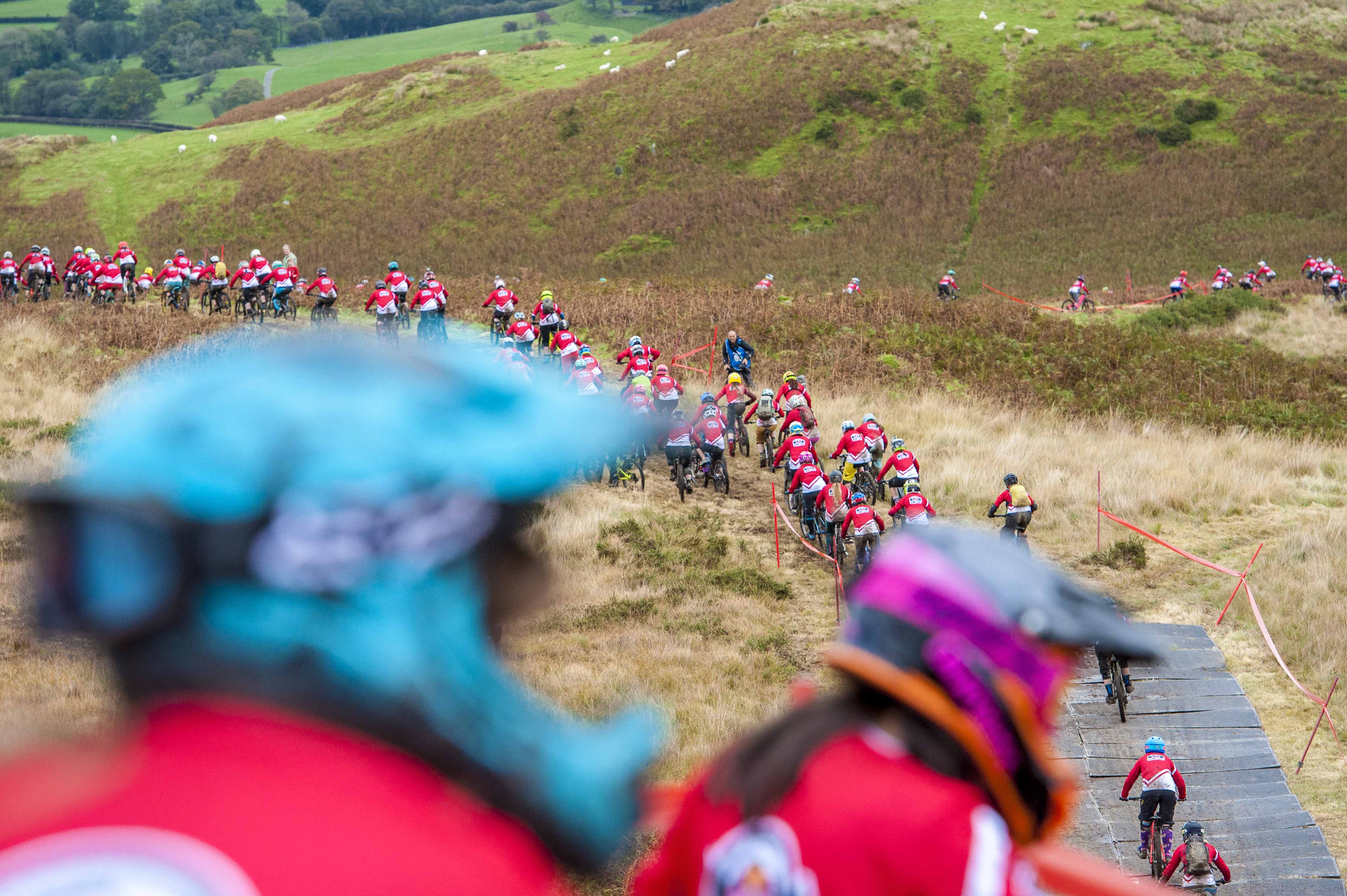 red bull foxhunt