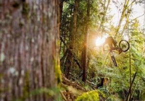 raw 100