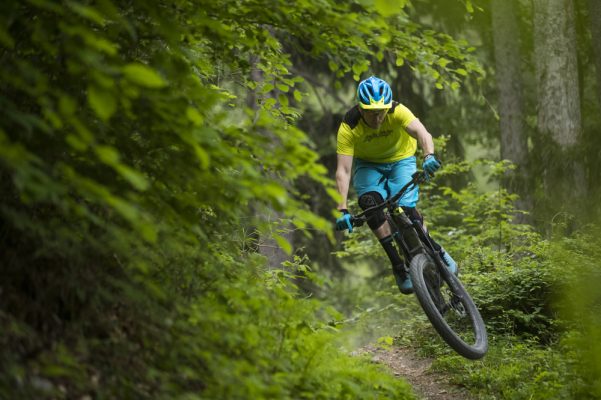 trek powerfly 9.9 lt 2019