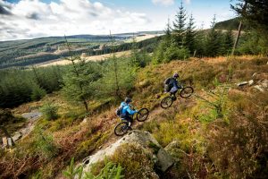 kielder forest
