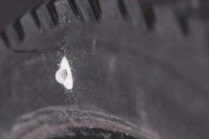 best tyre sealant