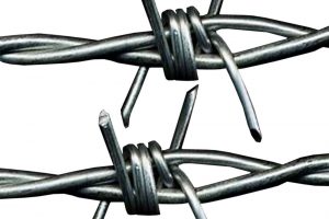 barbed wire