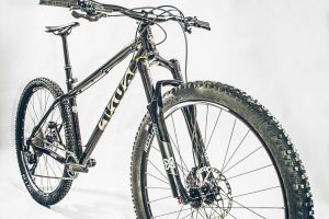 cotic solarismax