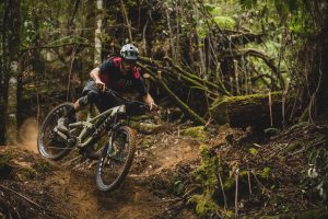 Kona process 2019
