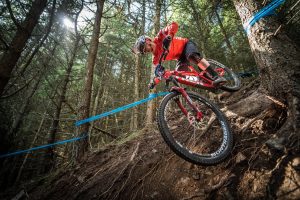 Tweedlove Transcend Epic