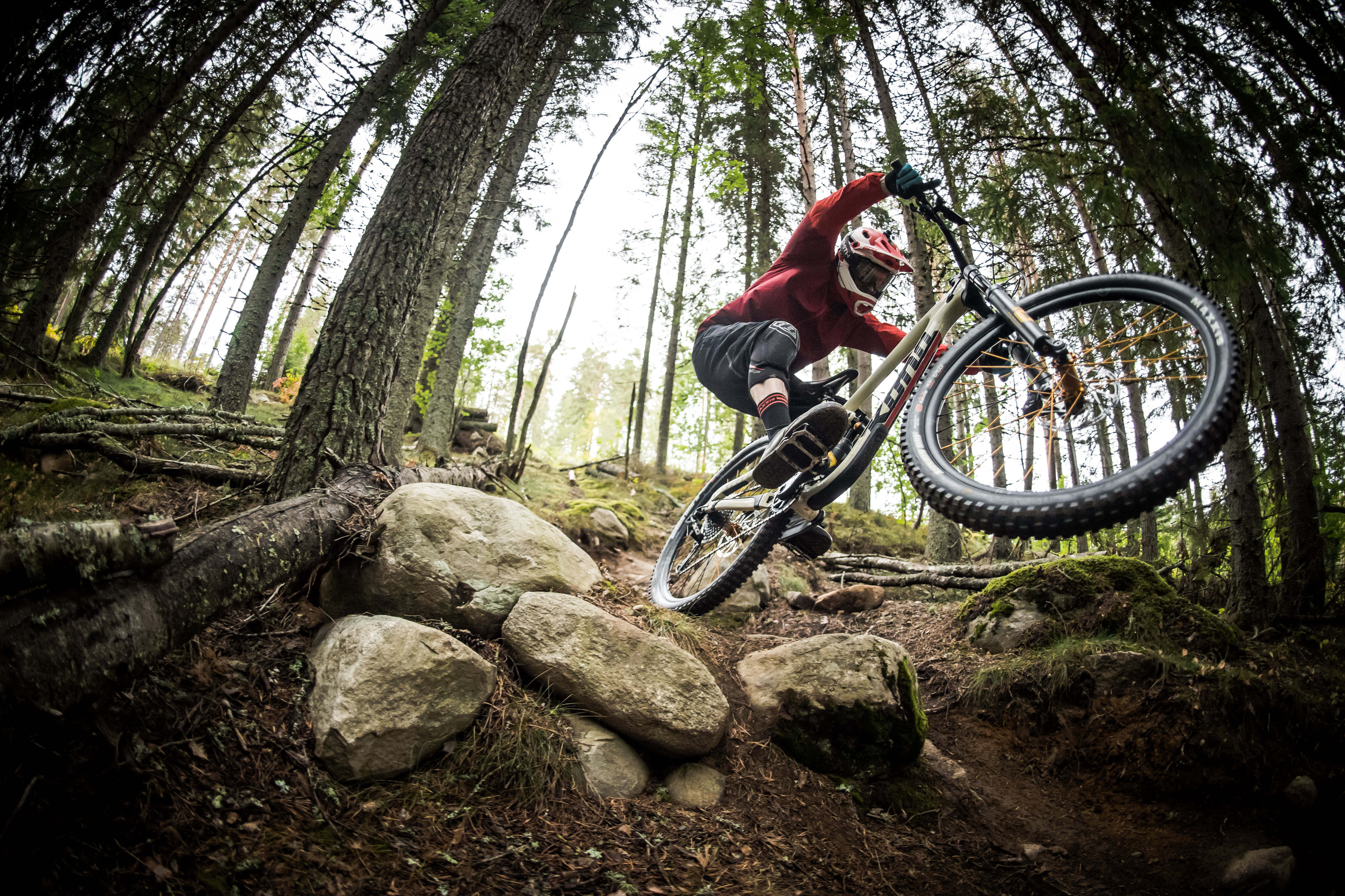 Ohlins TTX Air shock