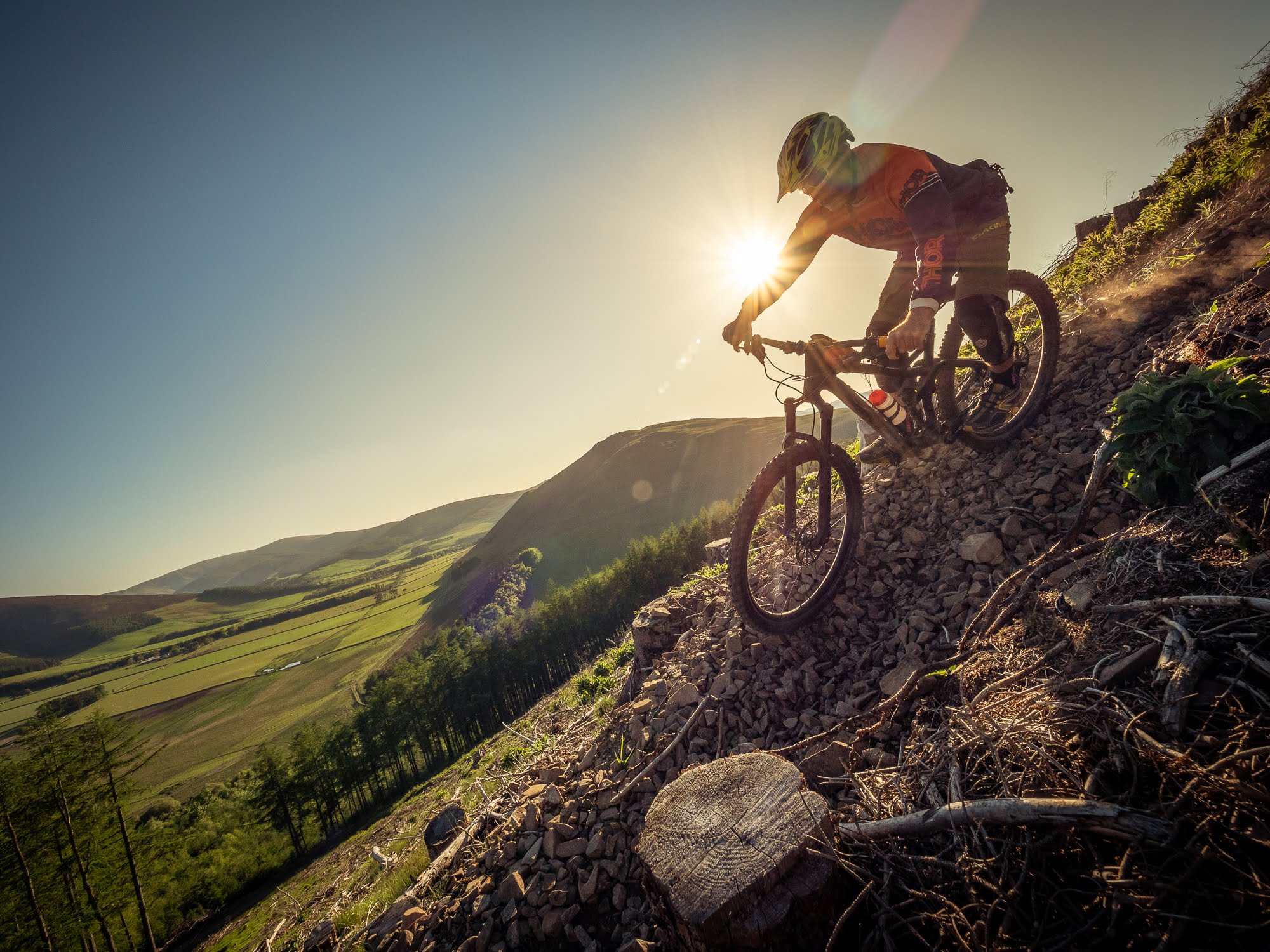 Tweedlove Transcend Epic