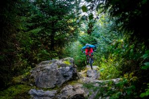 gravitate north east