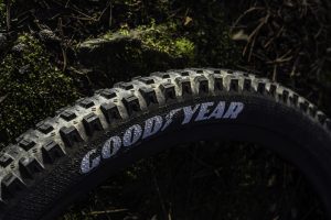 goodyear newton st premium