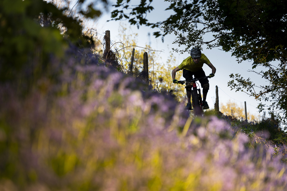 Low-hanging branch GR938546