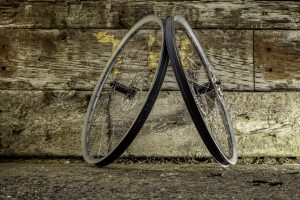 Specialized Roval Traverse SL Fattie