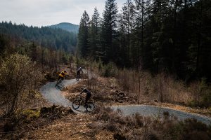 Photo of trail at Coed y Brenin trail centre in Wales