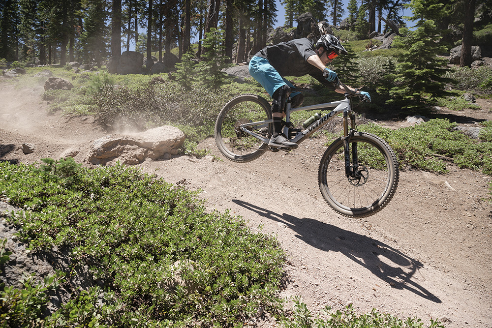 Specialized Enduro S-Works 29