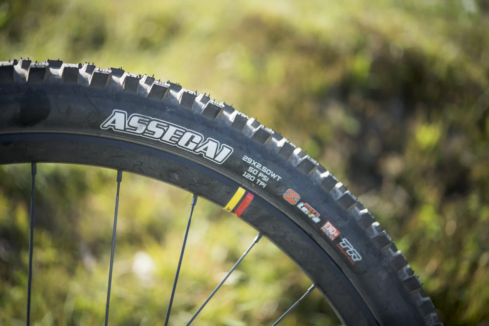 nukeproof reactor