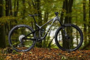 marin rift zone carbon