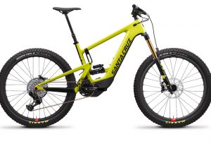 santa cruz heckler