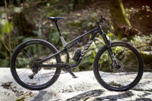 Canyon Neuron AL