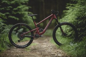 Santa Cruz 5010
