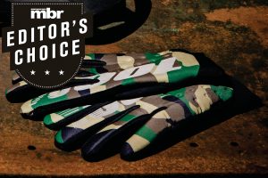 100% Brisker glove