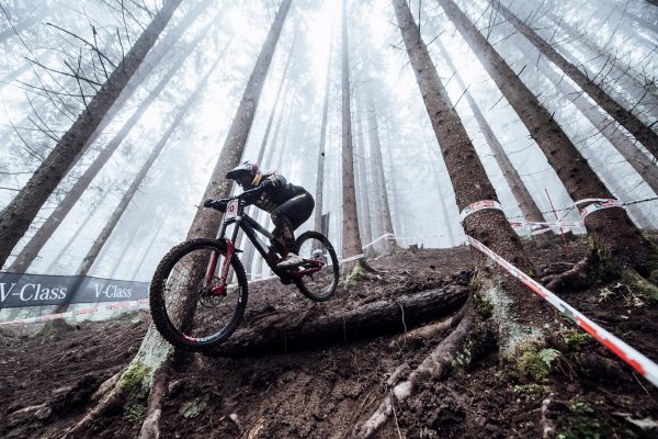 dh world cup calendar