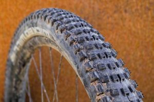 Schwalbe Wicked Will tyre