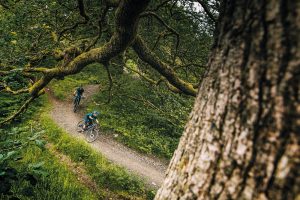 Dare Valley Gravity Family Bike Park