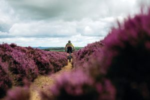 The West Yorkshire moors: blooming good mountain biking