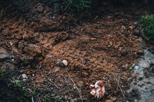 By fostering awareness we can teach a new generation of trail riders to leave a good impression