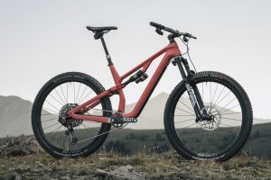 The Canyon Neuron with RockShox Flight Attendant