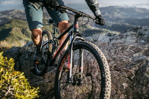 Pon Holdings Mongoose