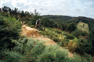 Tirpentwys trails